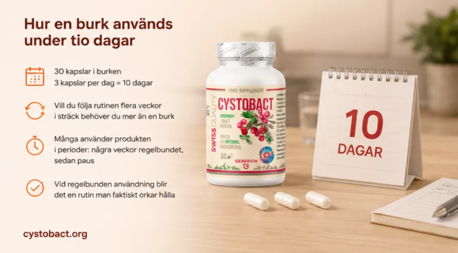 Cystobact — Bestellung des Originals über die offizielle Seite in Österreich