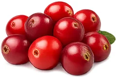 Cystobact — Cranberry (Vaccinium oxycoccos)