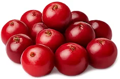 Cystobact — Cranberry (Vaccinium oxycoccos)