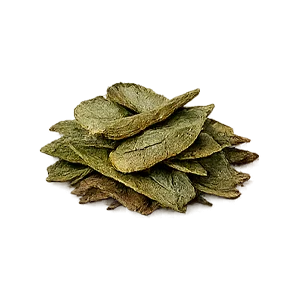 Cystobact — mansikkapuun lehti (Arbutus unedo)