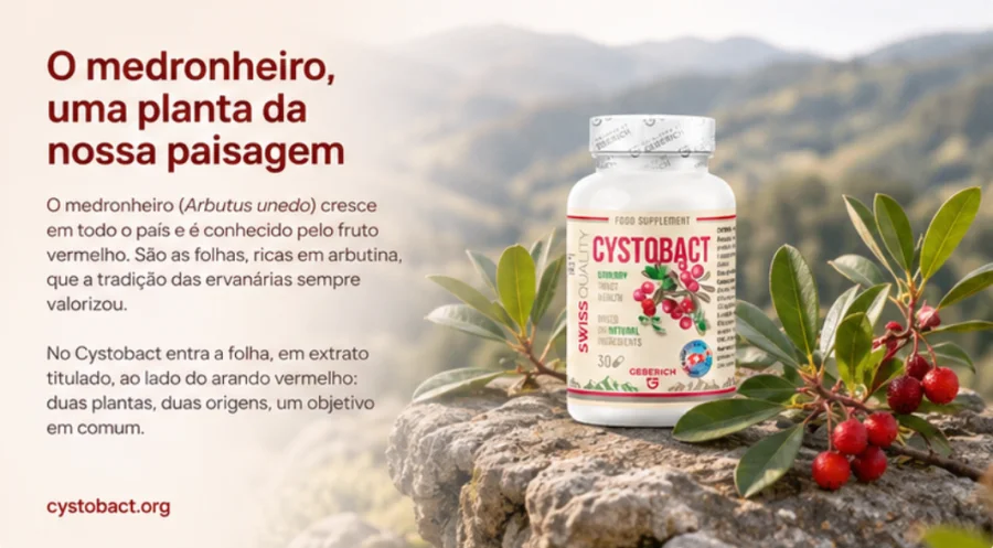 Cystobact — regelmäßige Anwendung als ruhige Tagesroutine