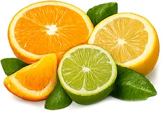 Cystobact — Zitrus-Bioflavonoide (Citrus aurantium)
