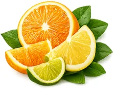 Cystobact — Zitrus-Bioflavonoide (Citrus aurantium)