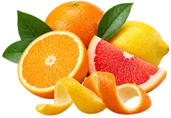 Cystobact — Zitrus-Bioflavonoide (Citrus aurantium)