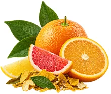 Cystobact — Zitrus-Bioflavonoide (Citrus aurantium)