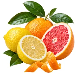 Cystobact — Zitrus-Bioflavonoide (Citrus aurantium)