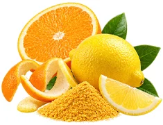 Cystobact — Zitrus-Bioflavonoide (Citrus aurantium)