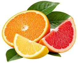 Cystobact — Zitrus-Bioflavonoide (Citrus aurantium)