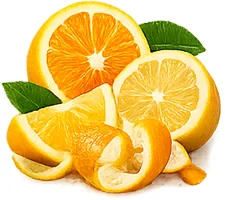 Cystobact — Zitrus-Bioflavonoide (Citrus aurantium)